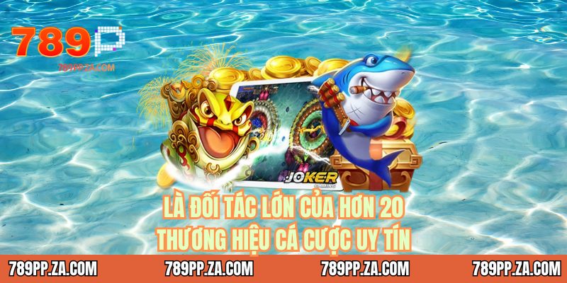 Là đối tác lớn của hơn 20 thương hiệu cá cược uy tín